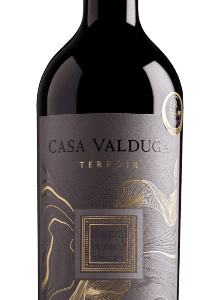 Vinho Casa Valduga Terroir Merlot 750 ml
