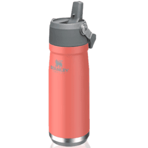 Garrafa Térmica Stanley Flip Straw Guava 651ml