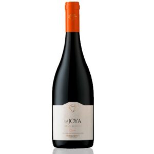 Vinho Bisquertt La Joya Gran Reserva Syrah 750ml