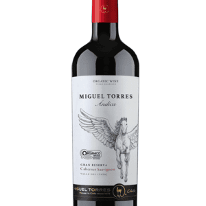 Vinho Miguel Torres Andica Cabernet Sauvignon 750ml