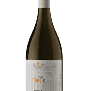 Vinho Paulo Laureano Nosso Terroir Branco 750 ml