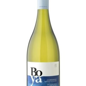 Boya Chardonnay 2024 (Viña Garcés Silva) | 92 DES