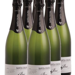 Cx. 6 un. Espumante Santa Colina Brut