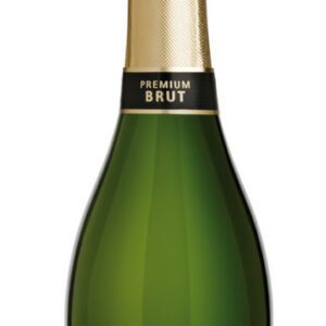 Espumante Santa Helena Brut 750 ml