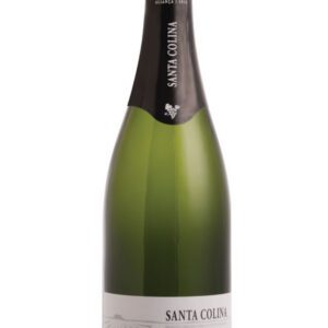 Espumante Santa Colina Brut 750 ml