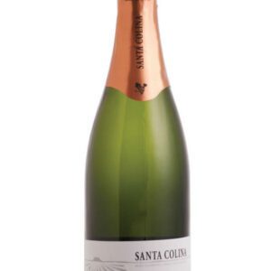 Espumante Santa Colina Demi Sec 750 ml