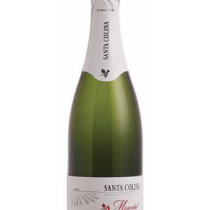 Espumante Santa Colina Moscatel 750 ml