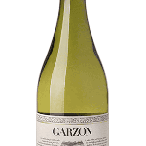 Vinho Garzon Reserva Alvarinho 750 ml