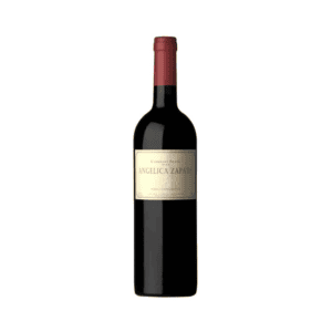Angelica Zapata Cabernet Franc 2021 | 95JS