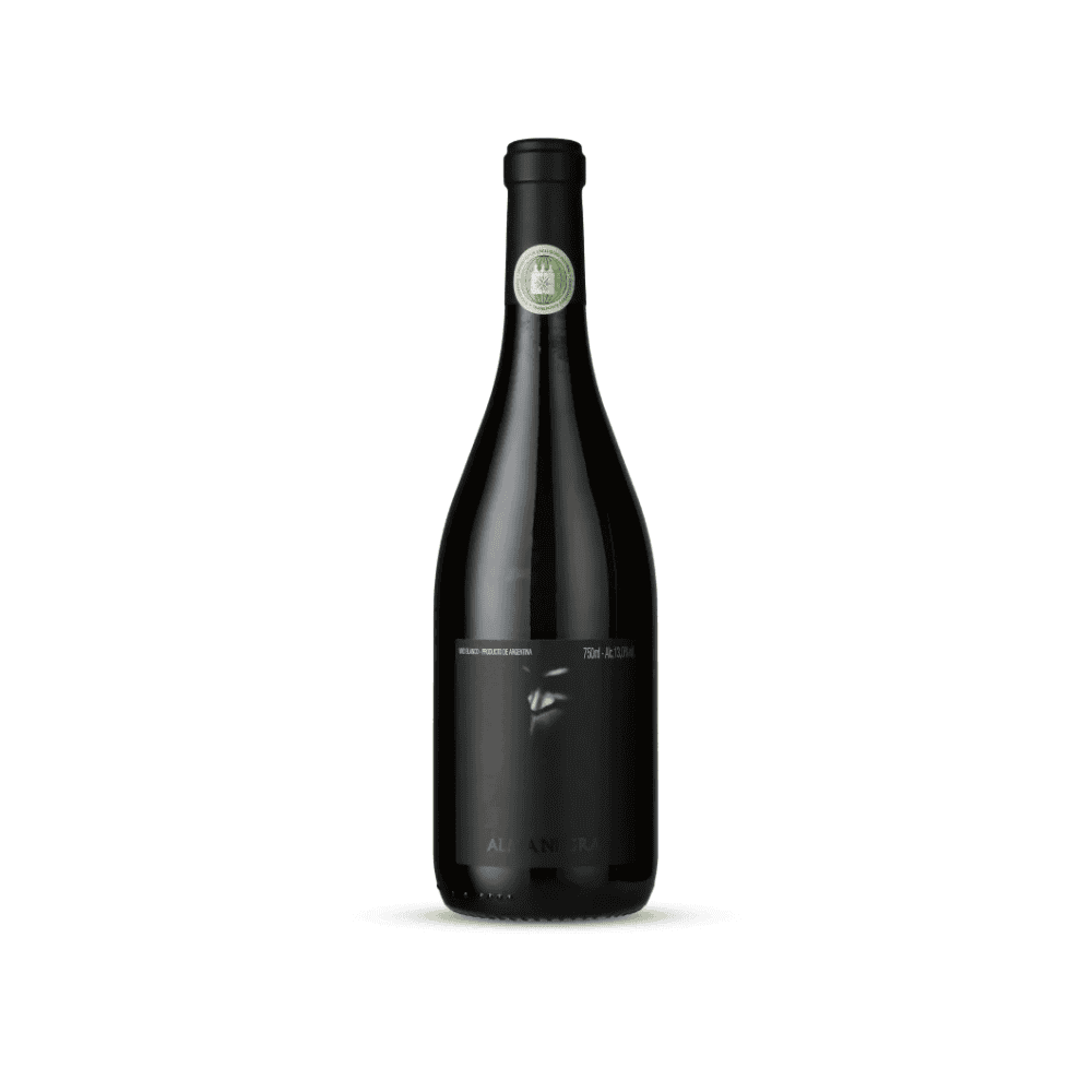 Alma Negra Pinot Noir 2023 Alma Negra Pinot Noir 2023