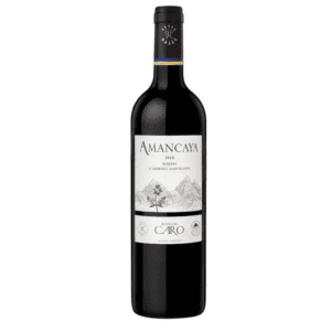 Amancaya 2021 | 93JS 93TA