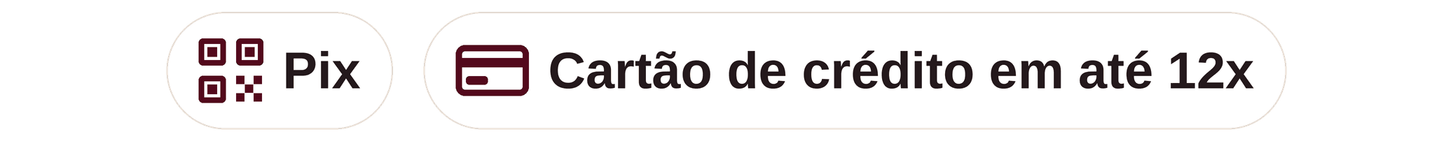 Formas de pagamento: Pix e cartão de crédito em até 12x