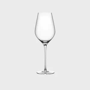 4 Taças Tanyno Champagne