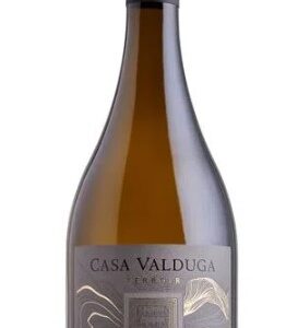 Vinho Casa Valduga Chardonnay Terroir 750 ml