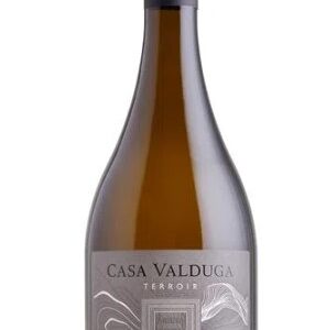 Vinho Casa Valduga Sauvignon Blanc Terroir 750ml