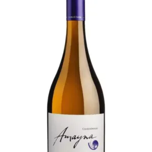 Amayna Chardonnay 2021 (Viña Garcés Silva) | 92 DES