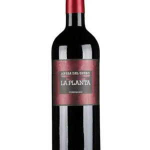 Arzuaga Navarro La Planta 2023