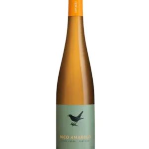 Bico Amarelo Vinho Verde