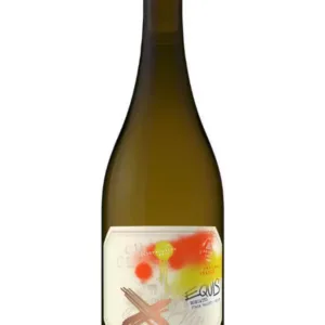Andes Cru Equis Moscatel – Vinho Natural Laranja 2022 | 93DES 93TA