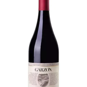 Garzon Marselan Reserva 2024 | 92JS 93DES