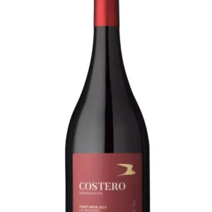 Mario Geisse Costero Pinot Noir 24/25