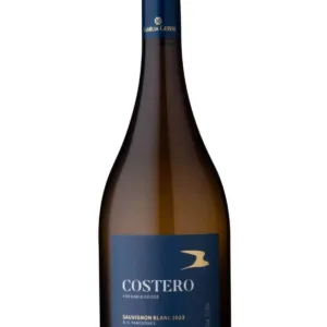 Mario Geisse Costero Sauvignon Blanc 2025 | 94TA