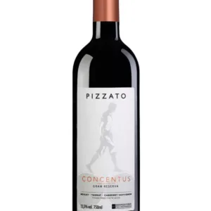 Pizzato Concentus Gran Reserva DOVV 2023 | 93TA