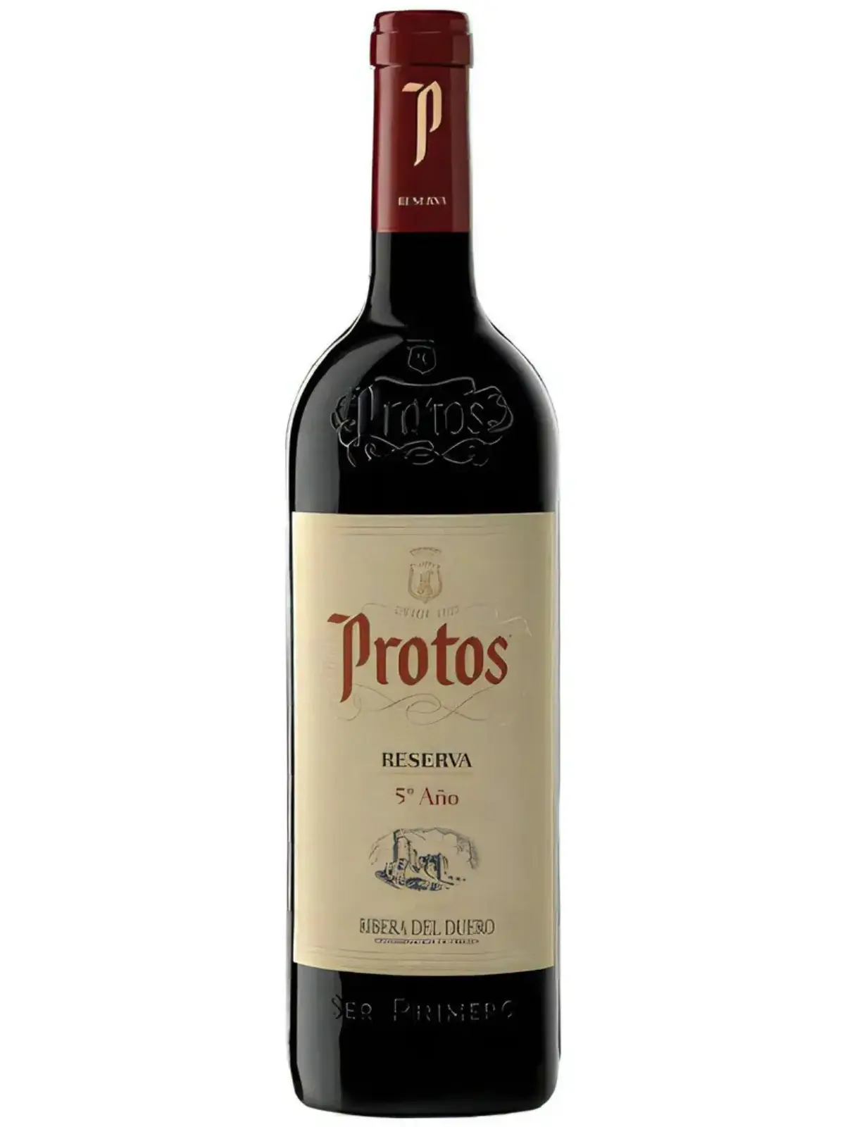 Protos-5-ano.webp