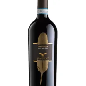Campagnola Valpolicella Ripasso Classico Superiore DOC 2022 | 93JS